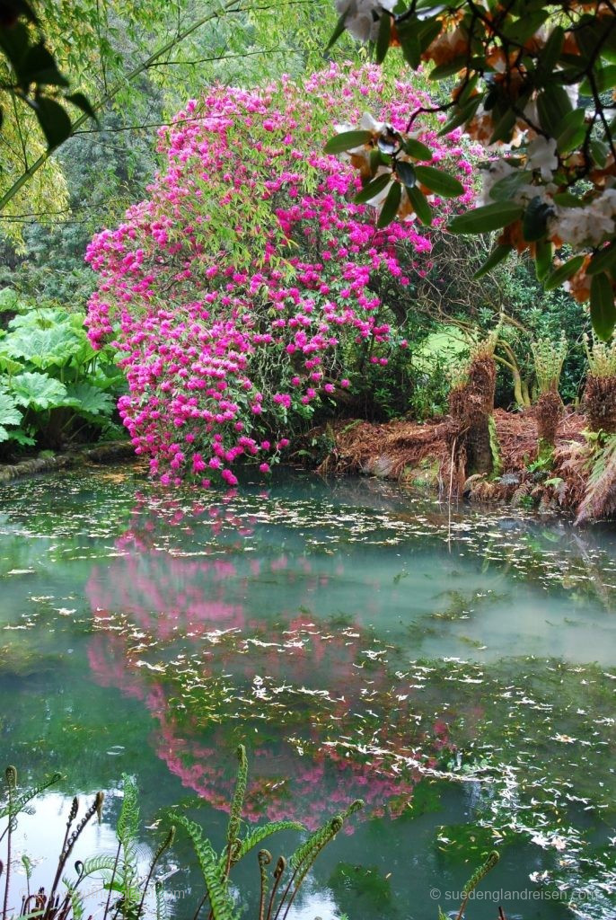 Trebah Garden in Cornwall