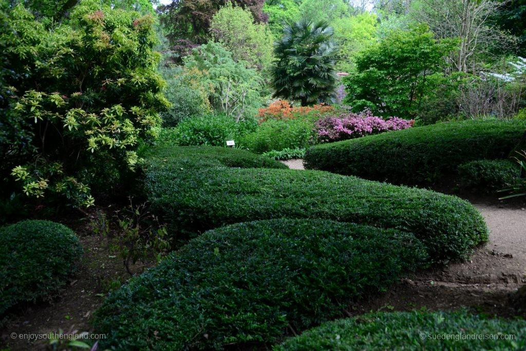 Impressionen vom Subtropical Garden in Abbotsbury