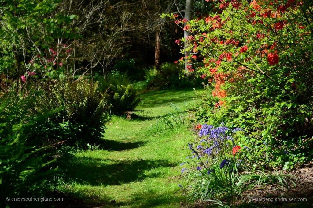 Impressionen vom Subtropical Garden in Abbotsbury