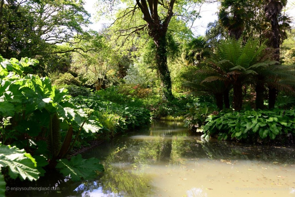 Impressionen vom Subtropical Garden in Abbotsbury