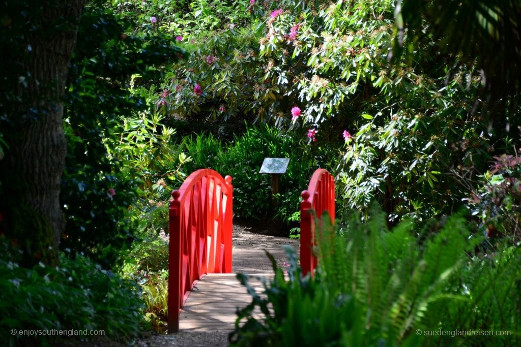 Impressionen vom Subtropical Garden in Abbotsbury