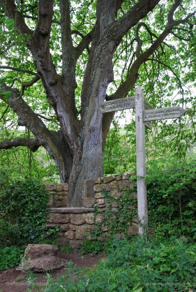 Wanderweg bei Abbotsbury in Dorset