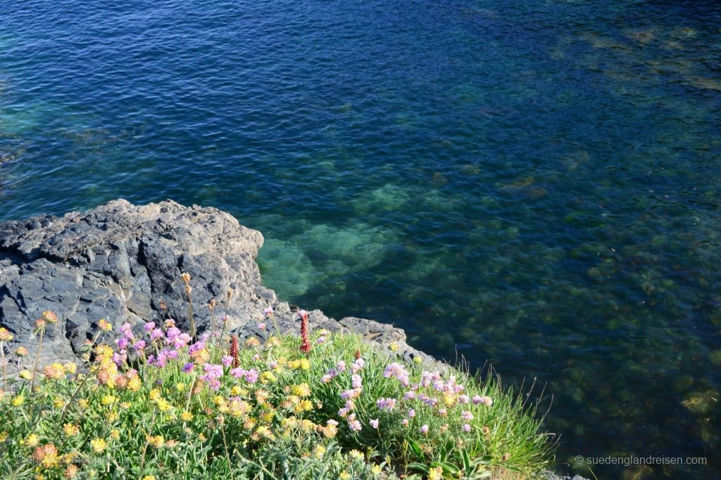 Impressionen von Cadgwith (Cornwall)