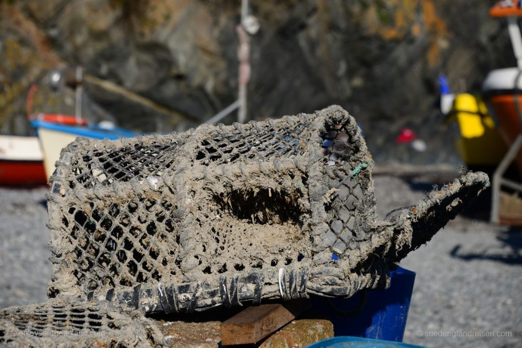 Reuse im Hafen von Cadgwith (Cornwall)