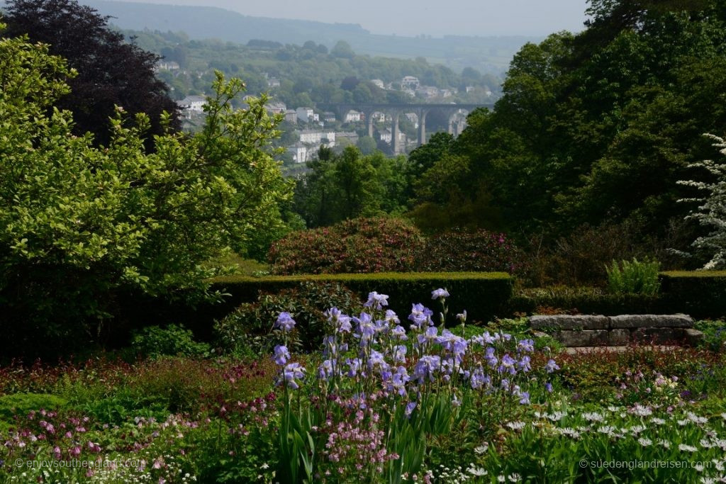 Blick auf den Calstock Viaduct von Cotehele aus