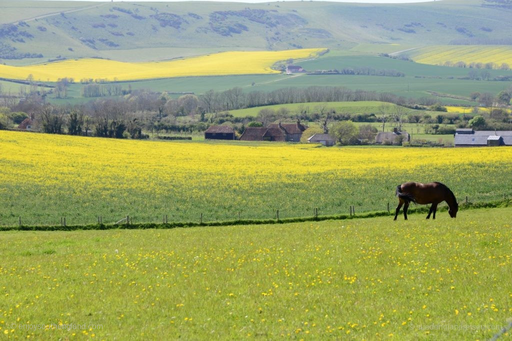 Das Cuckmere Valley in East Sussex