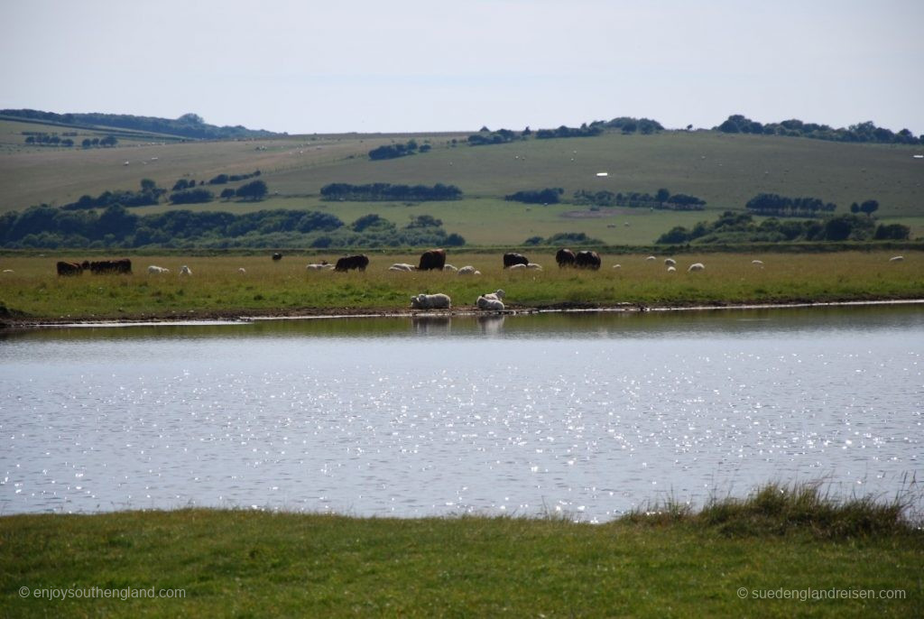 Das Cuckmere Valley