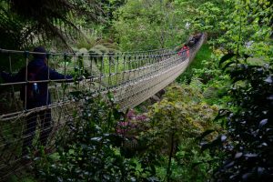 Lost Gardens of Heligan (Cornwall)