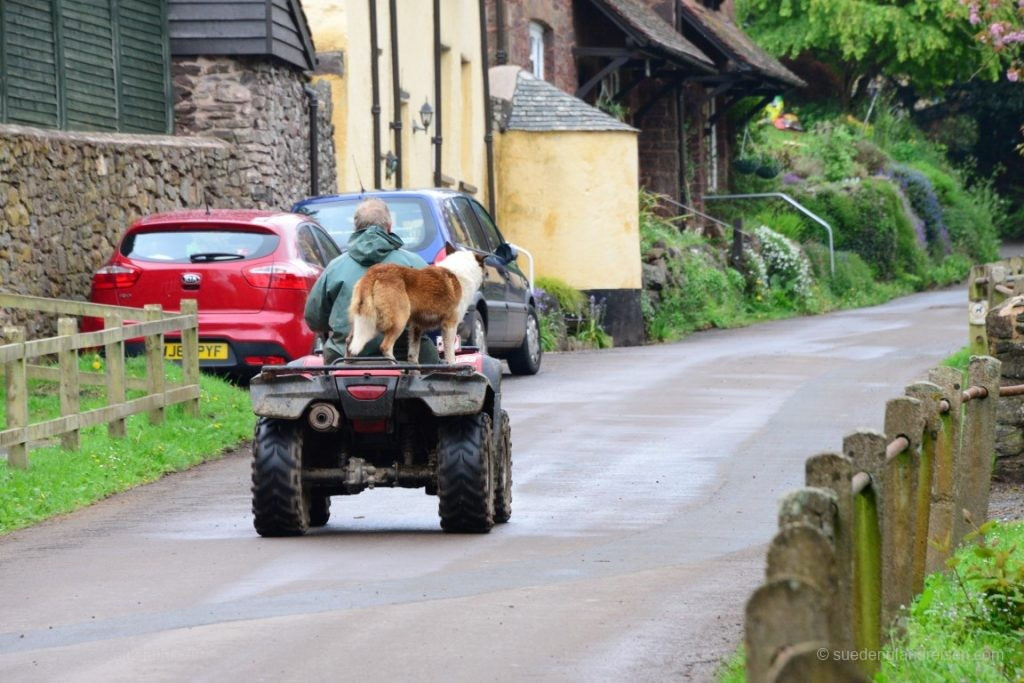 Kein Mensch? Nicht ganz. Und wenn, dann doch fast immer mit Hund!