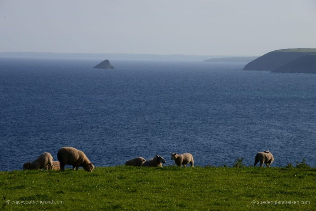 unterwegs auf der Roseland Peninsula