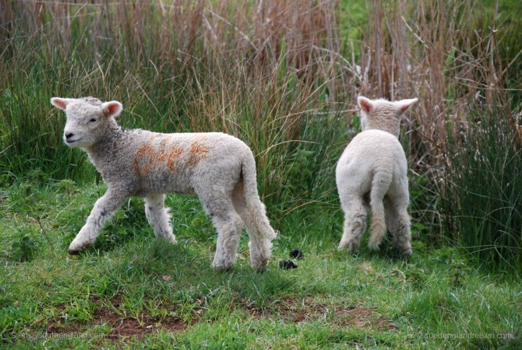 "Wo ist denn Mama mit der Milch? Hier nicht! Bei Dir?"