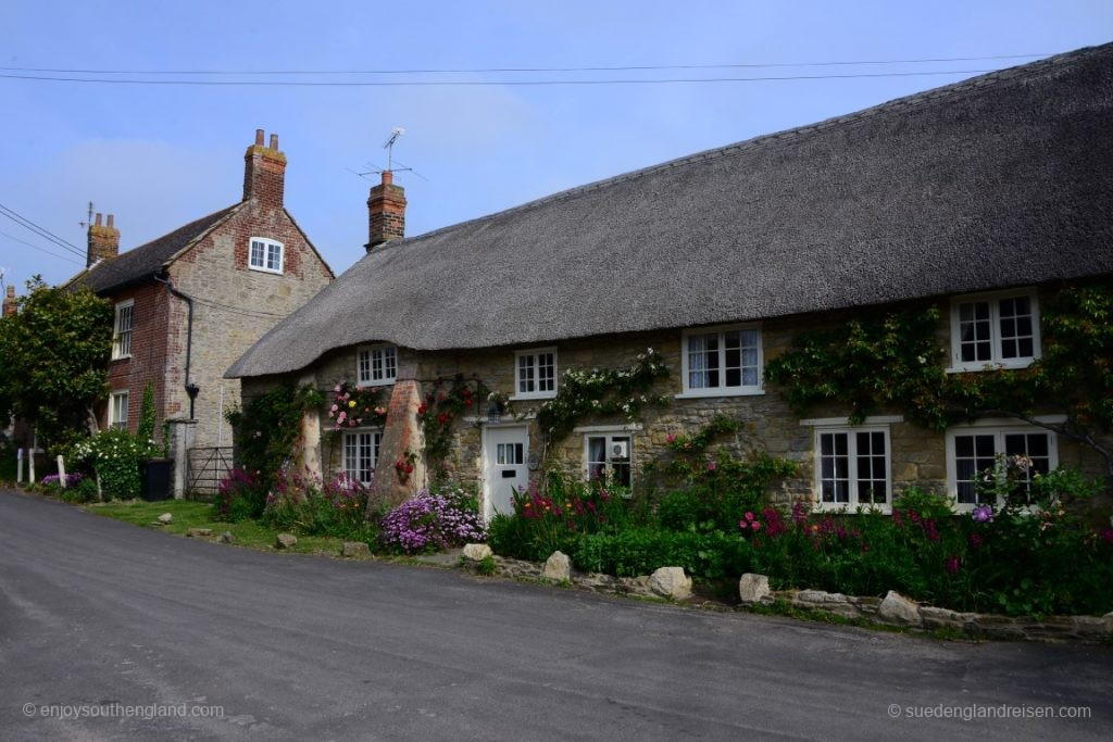 Häuser in Burton Bradstock - am hinteren Haus die beiden Bäume sind übrigens Magnolien (die der neue Besitzer fällen lassen will)