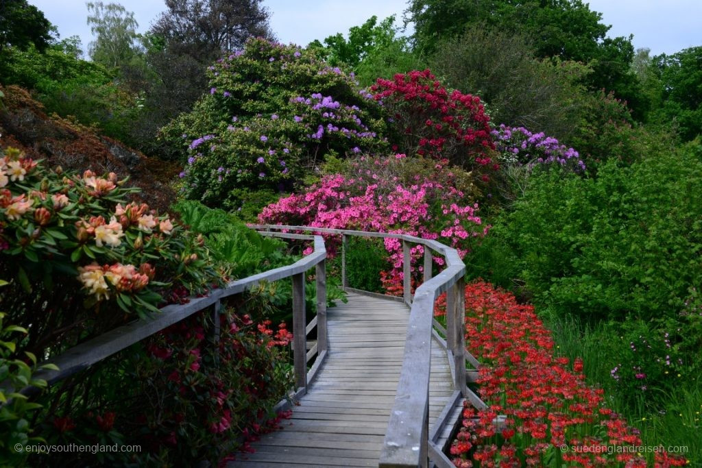 Blütenpracht in Furzy Garden