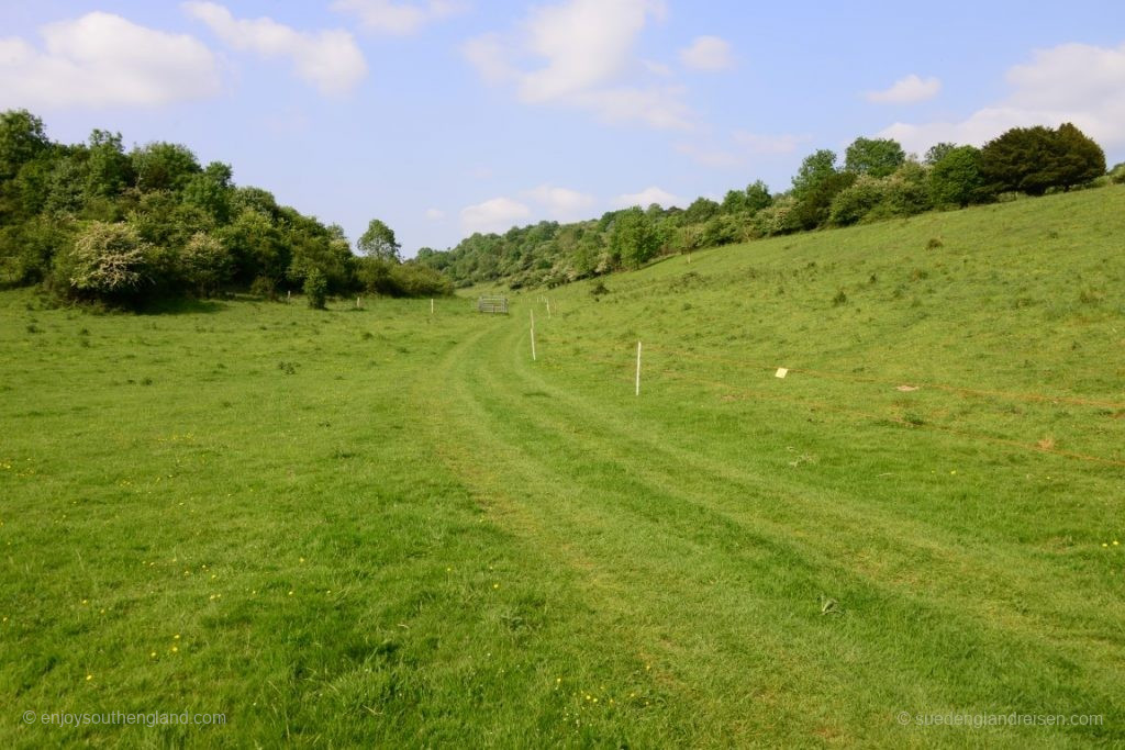 ... und danach eine Wanderung in Harting Down.