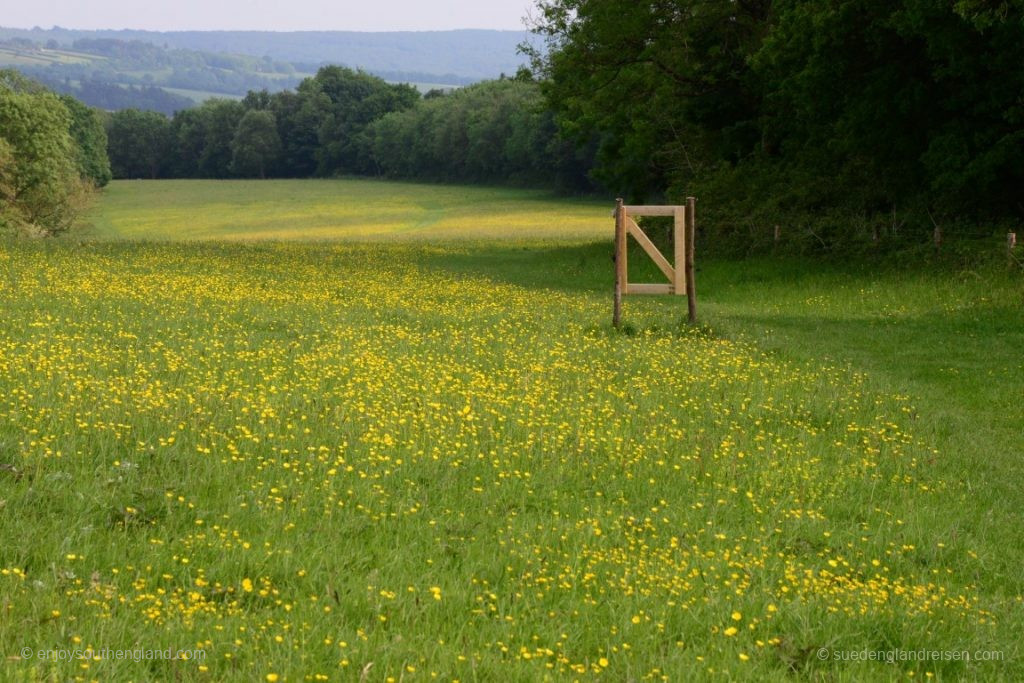 Sehr abwechslungsreich der wunderschöne Weg. Manchmal sind auch Tore da, die man gerade nicht wirklich braucht. 