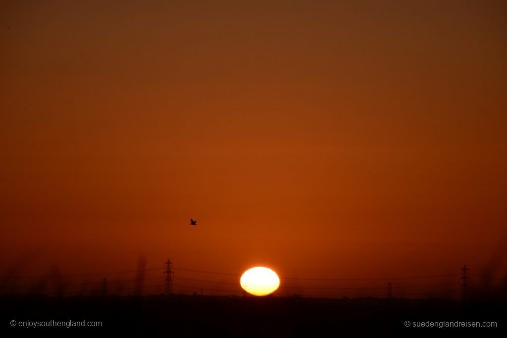 Sonnenaufgang über der Romney Marsh