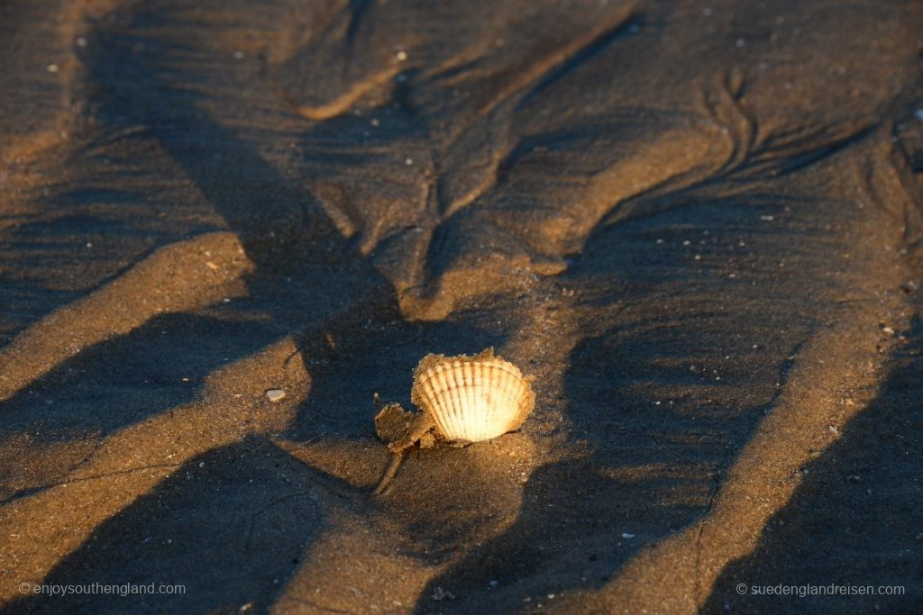 DIe ersten warmen Sonnenstraglen erreichen den Strand