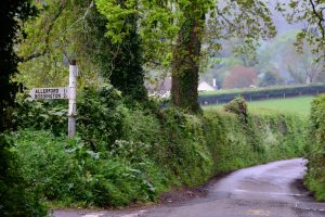 Exmoor,  Devon/Somerset, England