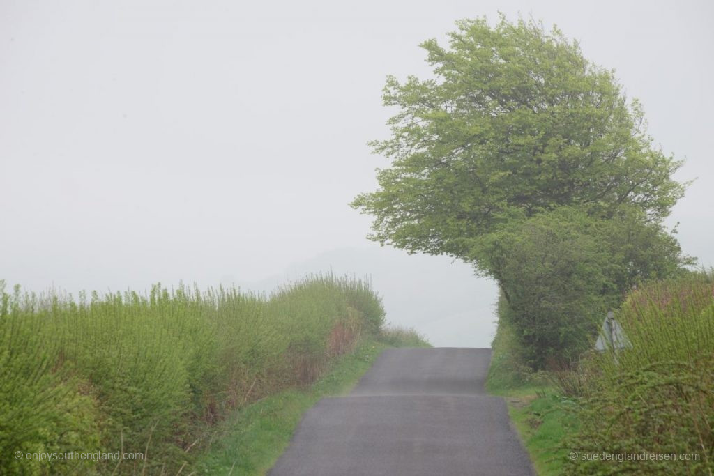 Exmoor - lonely trails