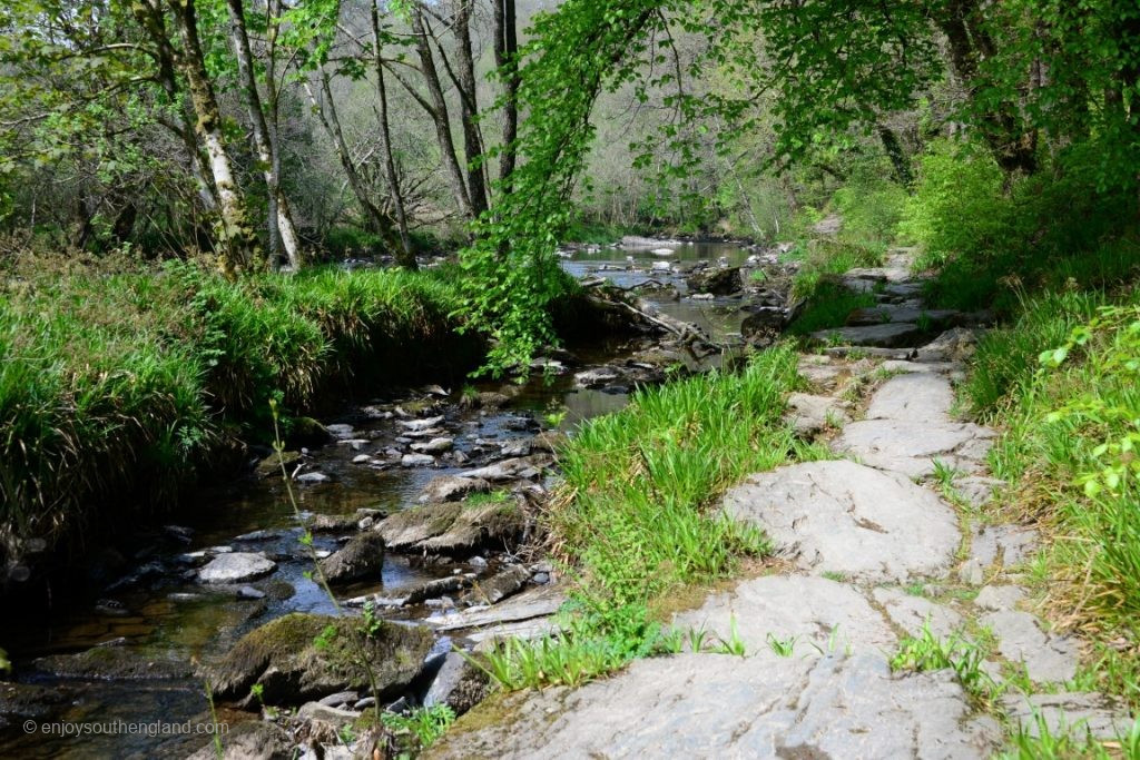 Der Rückweg entlang des River Barle ist nicht minder schön