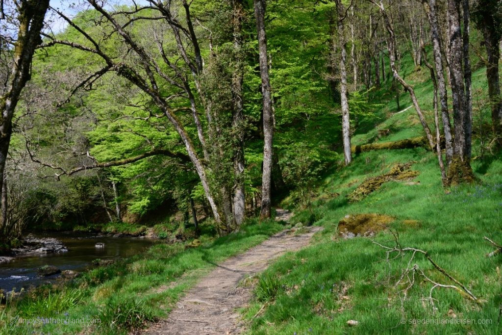 Unsere Wanderung am Ufer des River Barle