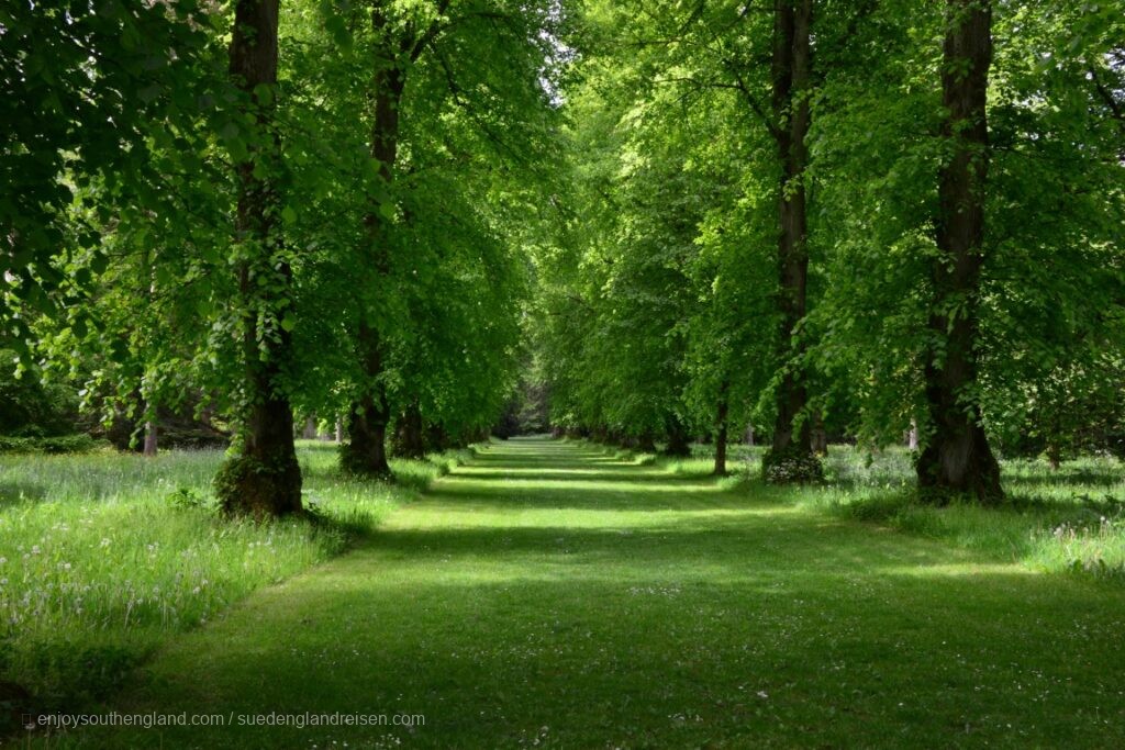 Wunderschöne Baumallee im Westonbirt Arboretum in Gloucestershire