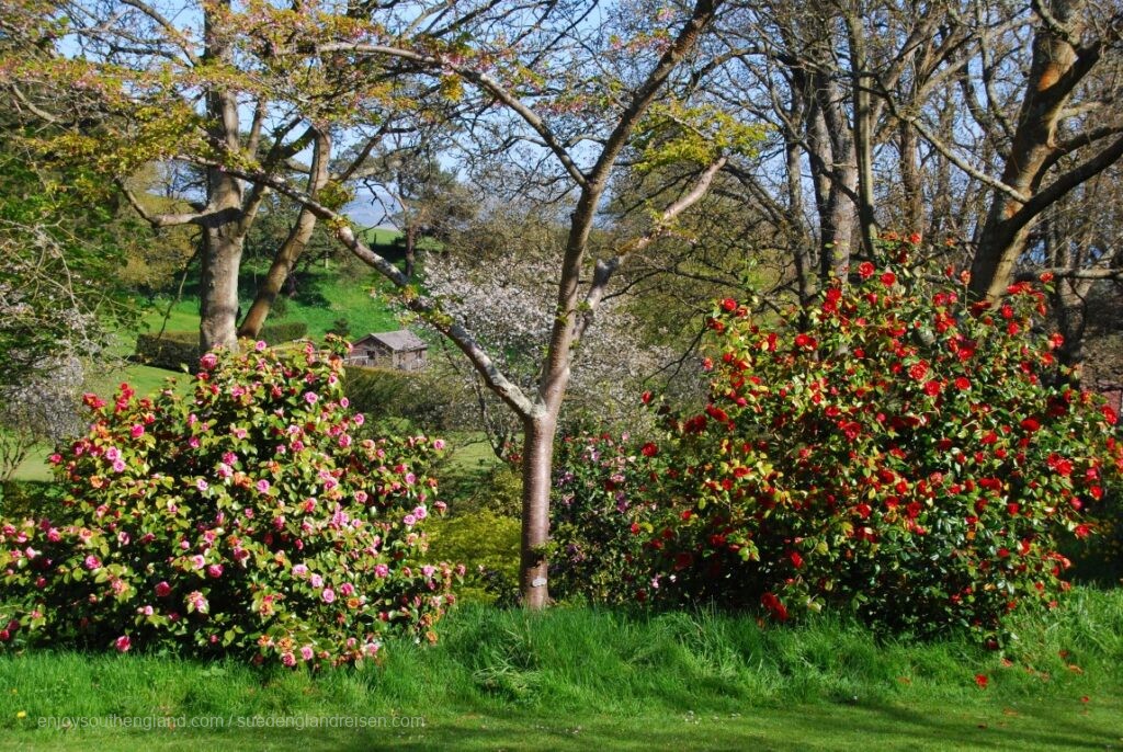 Mattistone Manor Garden auf der Isle of Wight