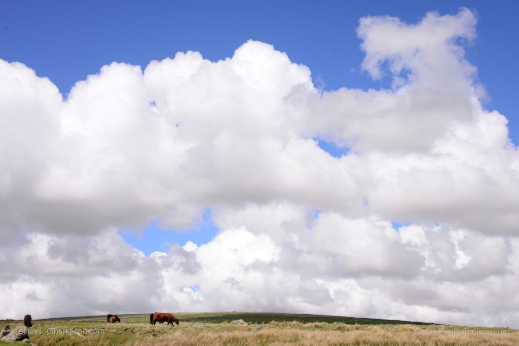 Stimmung im Dartmoor