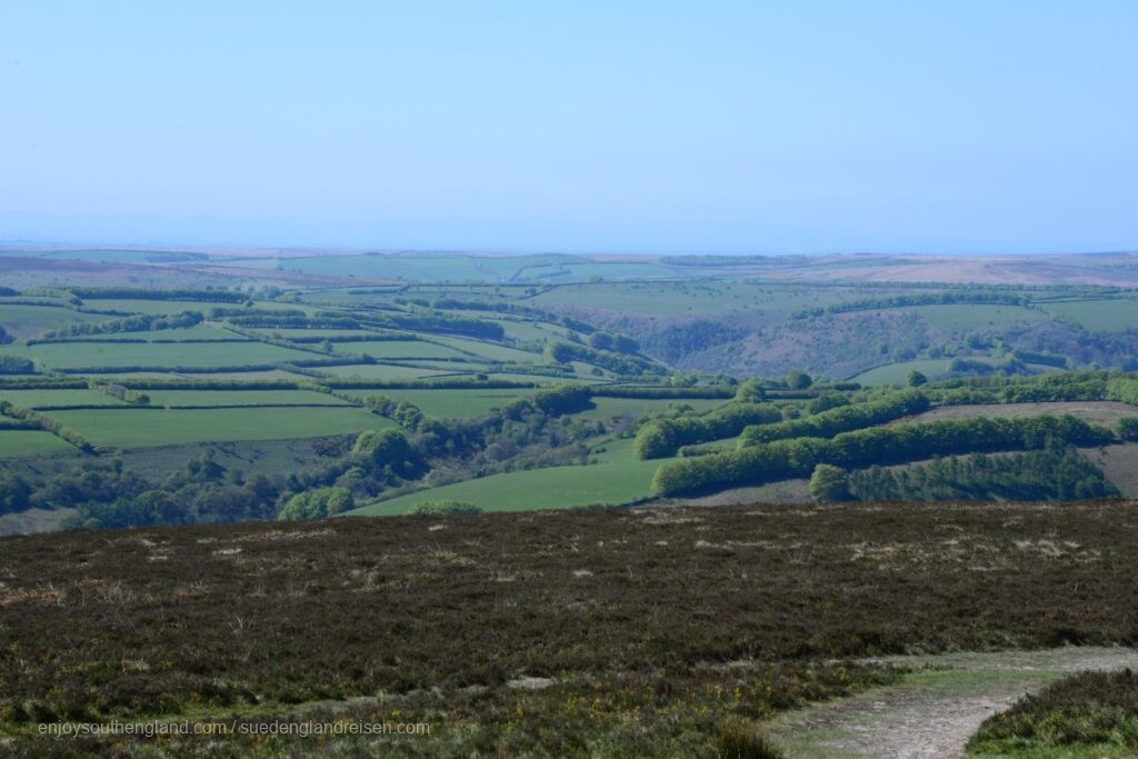 Blick vom Dunkery Beacon (Somerset) in die Weite des Exmoors