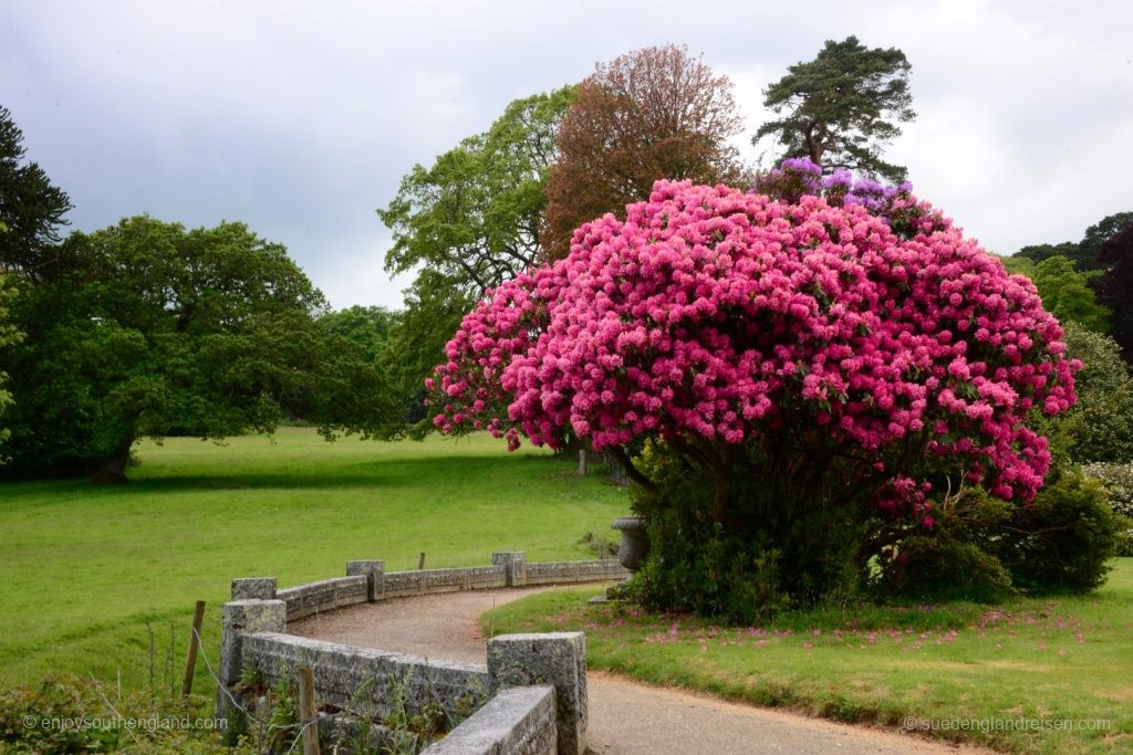 Farbenpracht in Enys Gardens in Cornwall