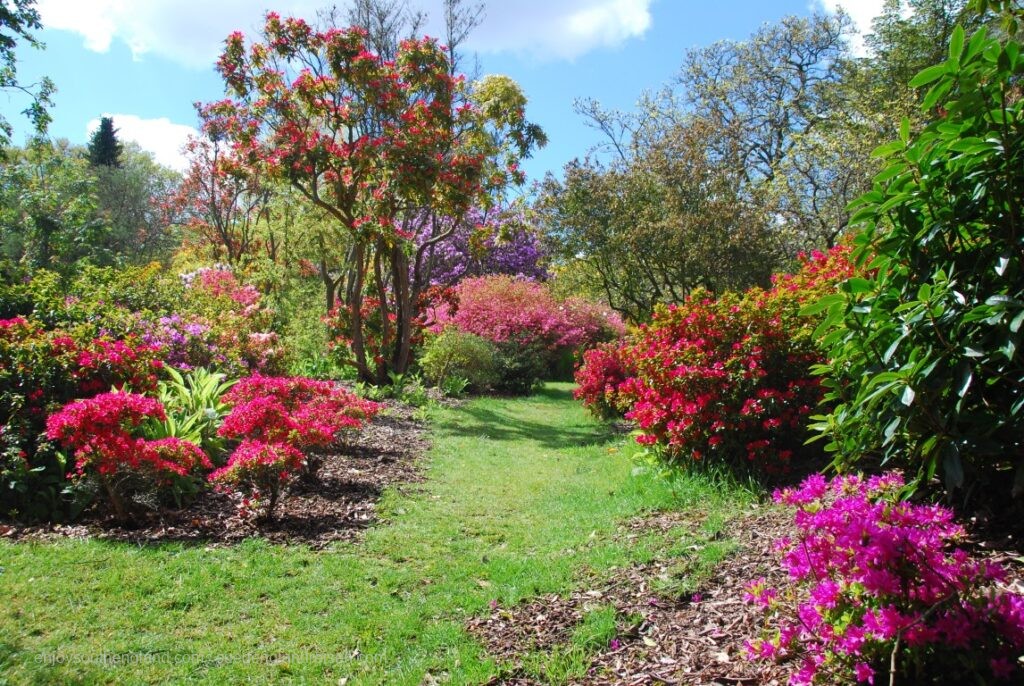 Furzey Garden (New Forest, Hampshire) in voller Blüte