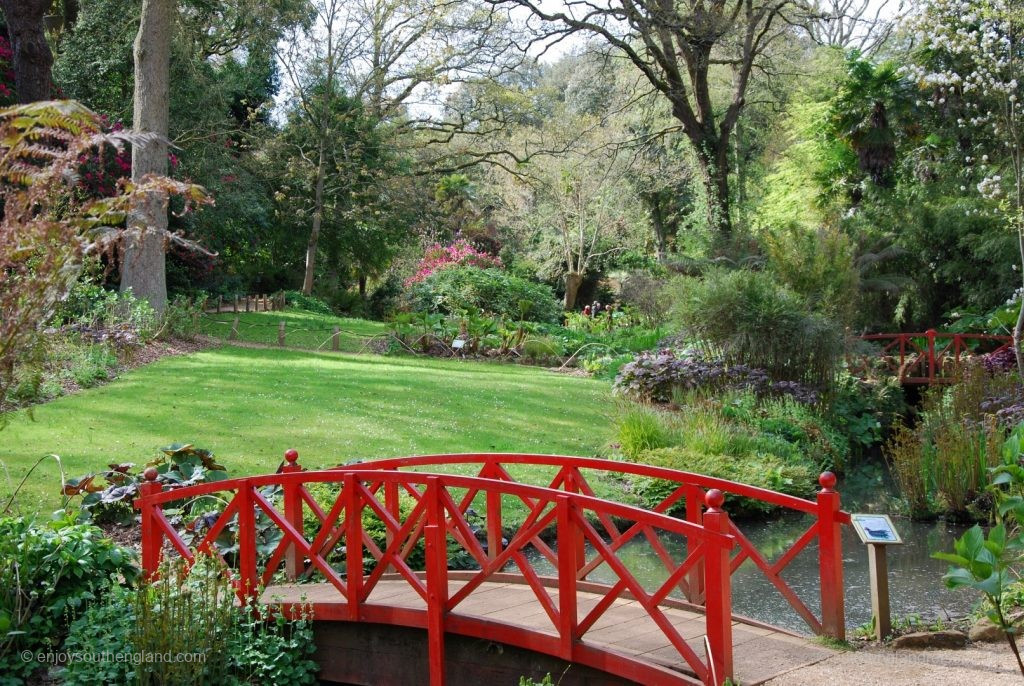 Subtropical Garden in Abbotsbury