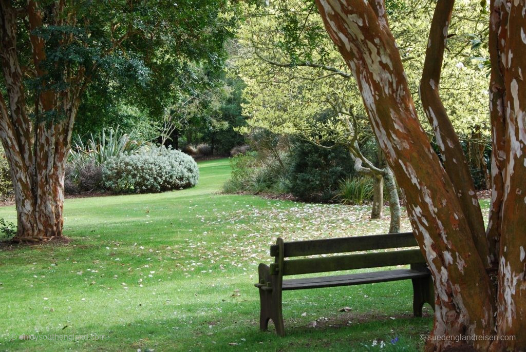 Subtropical Garden in Abbotsbury