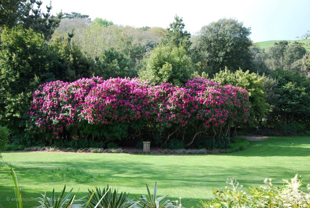 Subtropical Garden in Abbotsbury