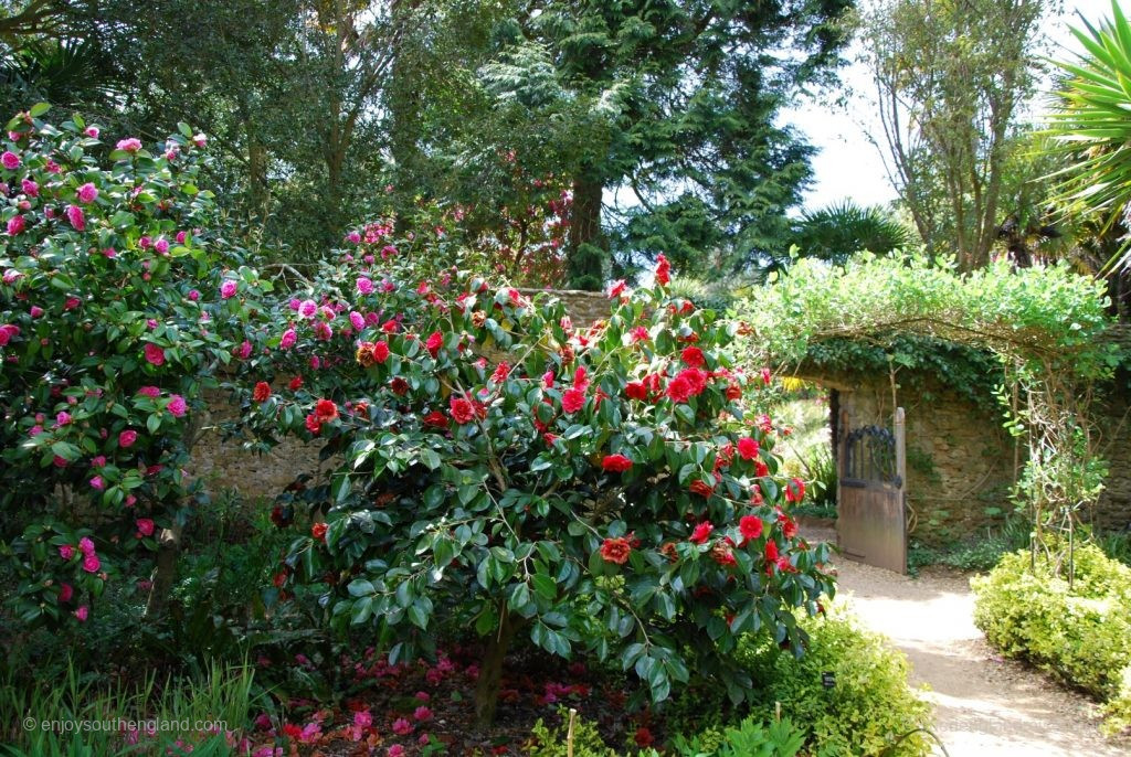 Subtropical Garden in Abbotsbury