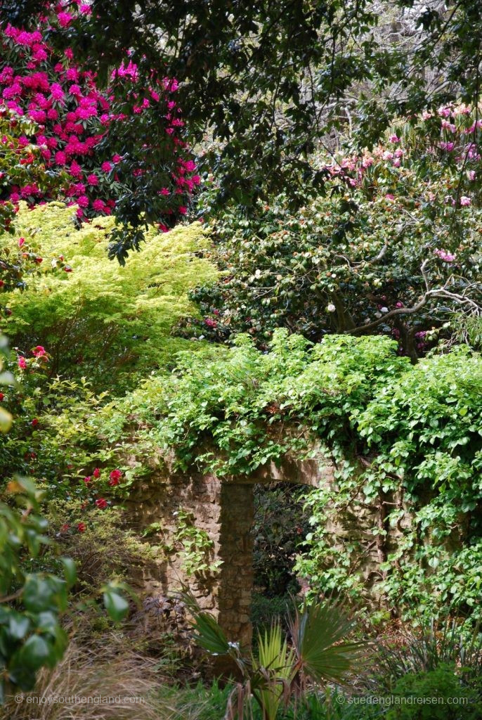 Subtropical Garden in Abbotsbury Subtropical Garden in Abbotsbury