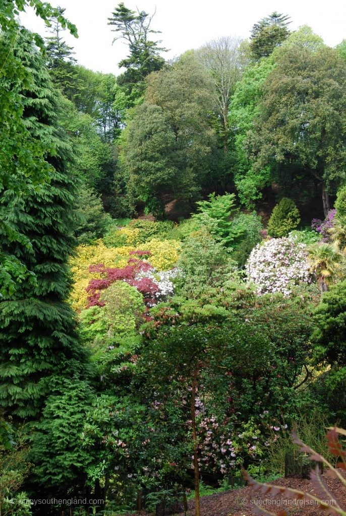 Trebah Garden, Cornwall, England