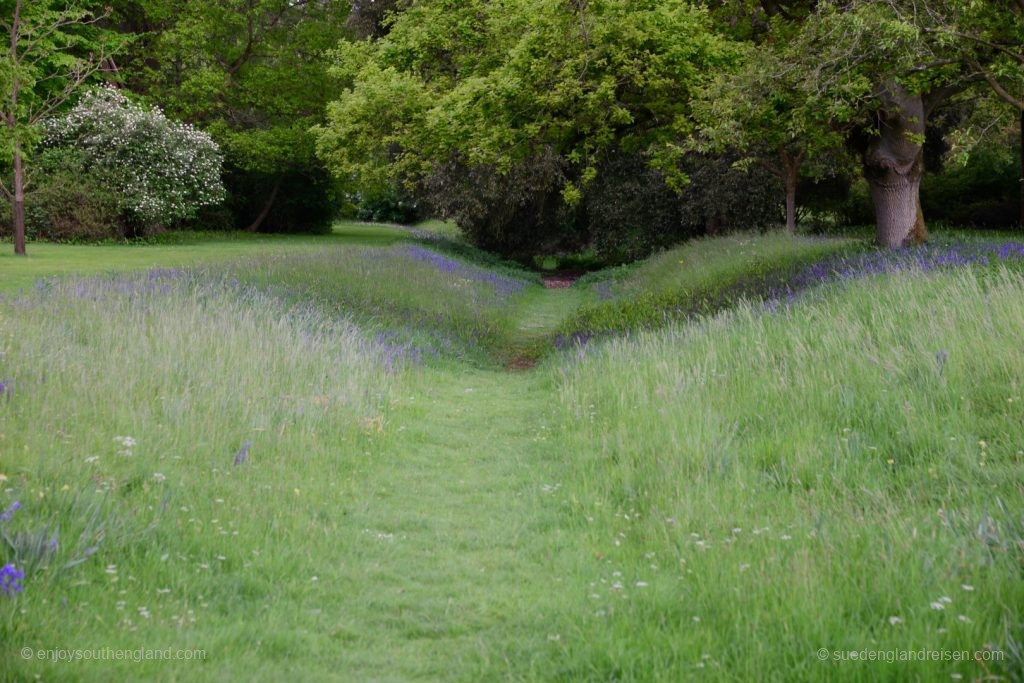 Von Bluebells gesäumter Weg im Park von Blenheim Palace