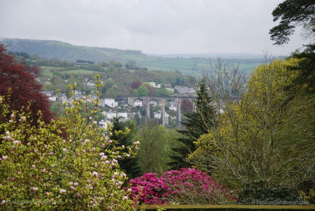 Cotehele in Cornwall - Blick auf Calstock und den mächtigen Viadukt der Eisenbahn