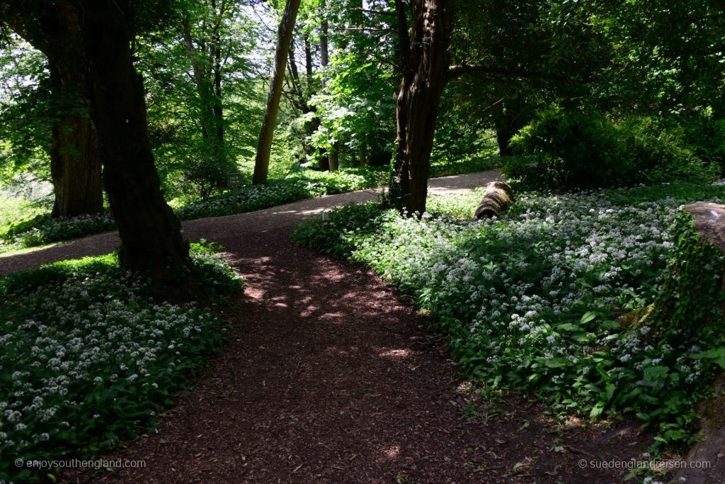 Eine Vielzahl von Wanderwegen laden in Newark Park zum Umhergehen ein.