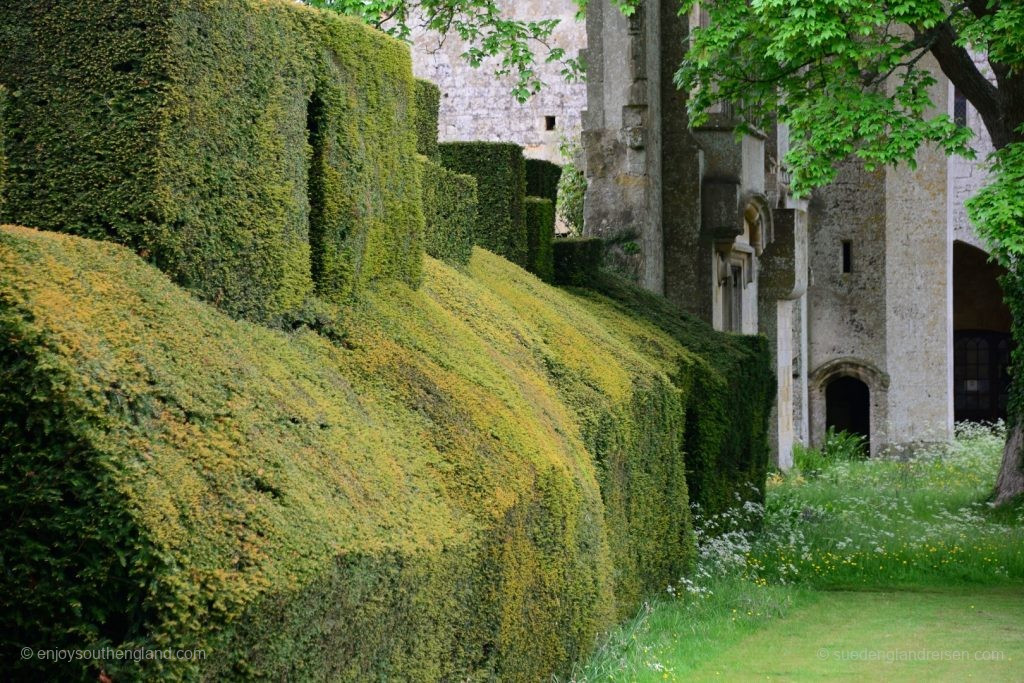 Sudeley Castle - geschnittene Hecken konstratieren mit alten Mauern