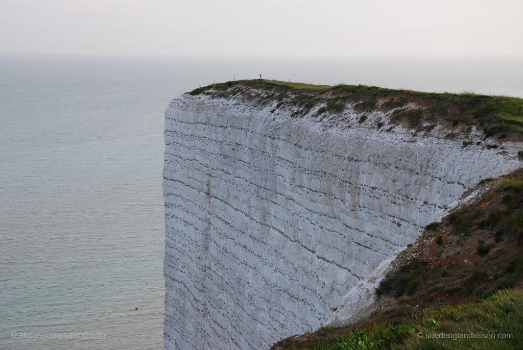 Beachy Head (East Sussex) - rugged beach cliffs populated by thousands of birds