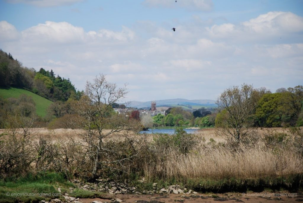 Highlights - Bootsfahrt auf dem River Dart (19)