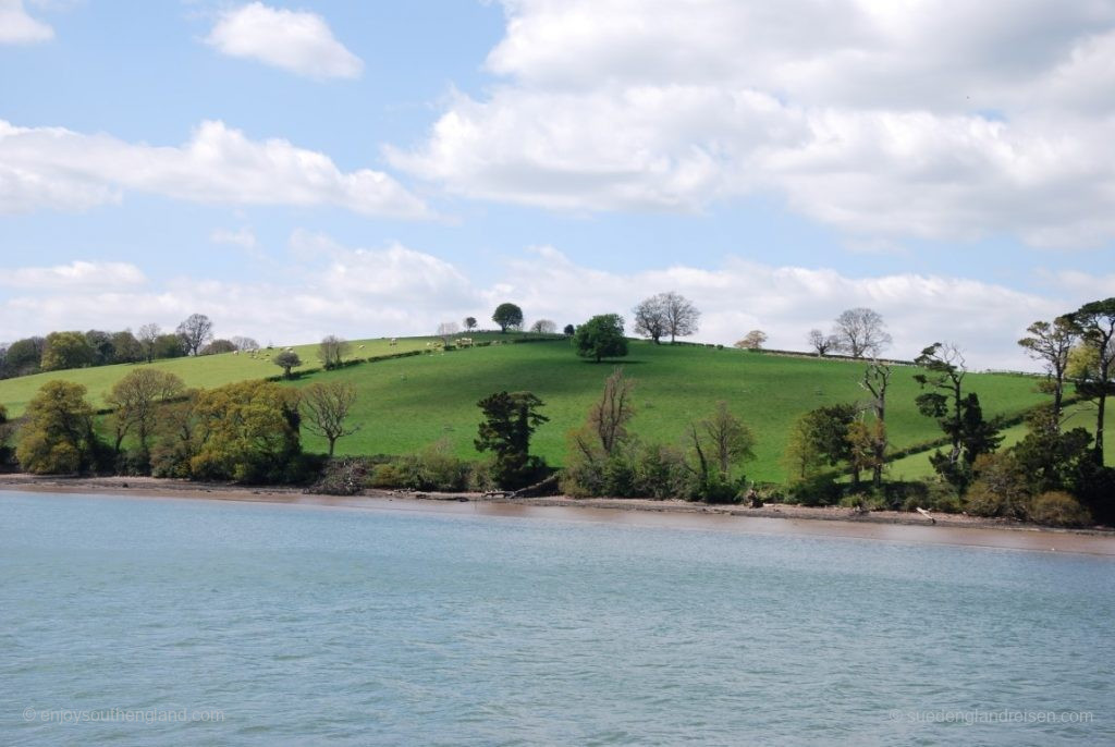 und wieder viel Landschaft entlang des River Dart auf unserem Weg nach Totnes