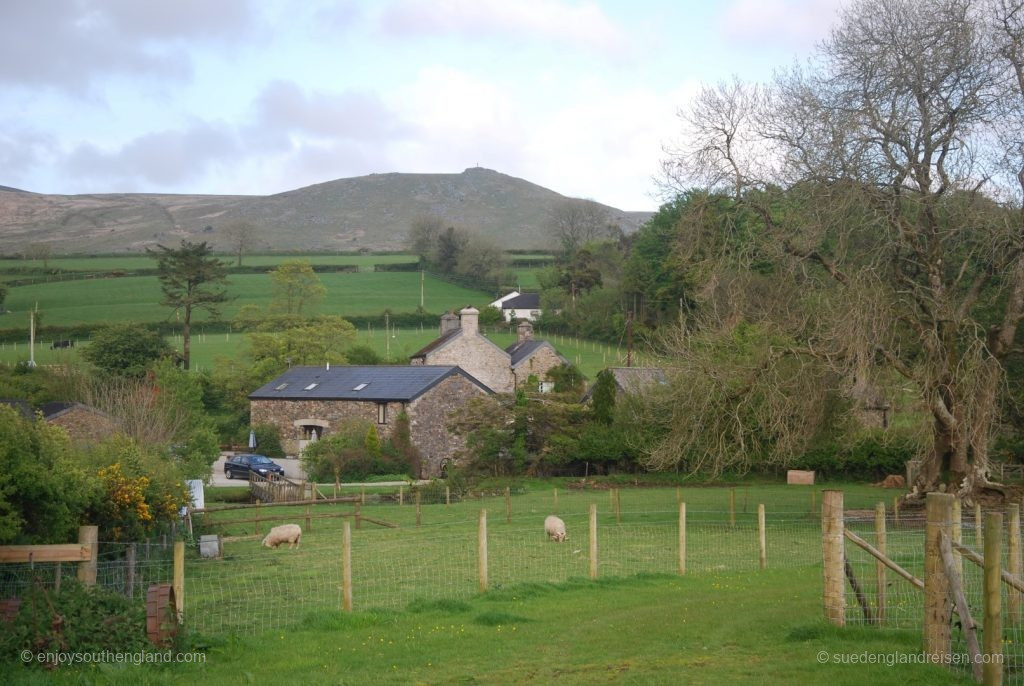 Typical farm in Dartmoor (Devon)