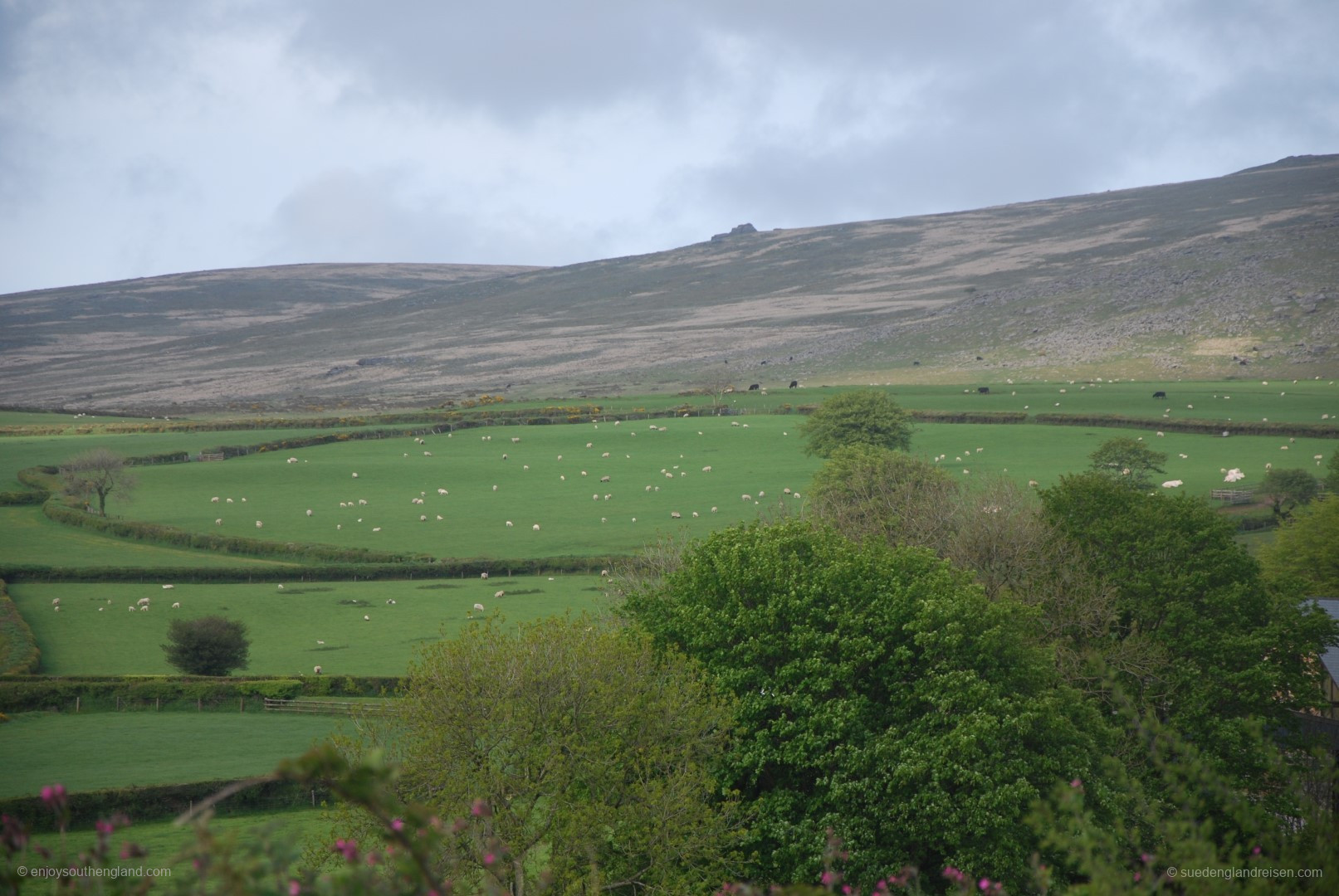 Das Dartmoor - eine Mischung aus Kulturlandschaft und Moorgebiet.