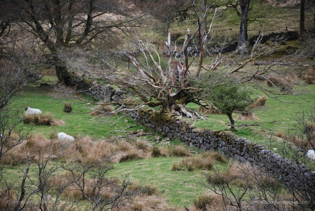 Away from the roads in Dartmoor (Devon)