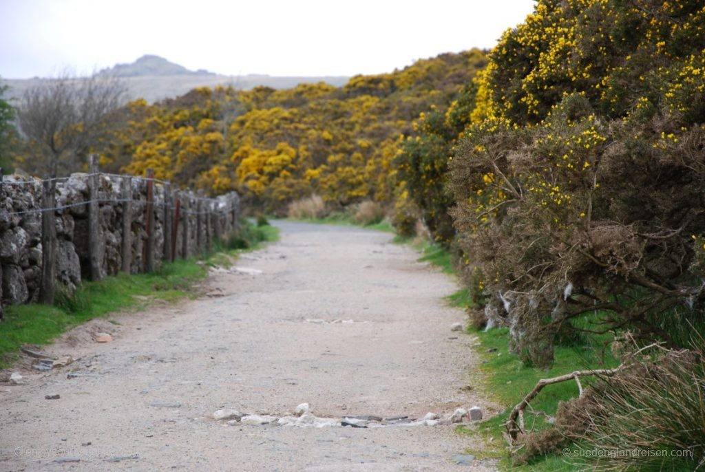 The small paths in Dartmoor are definitely worthwhile