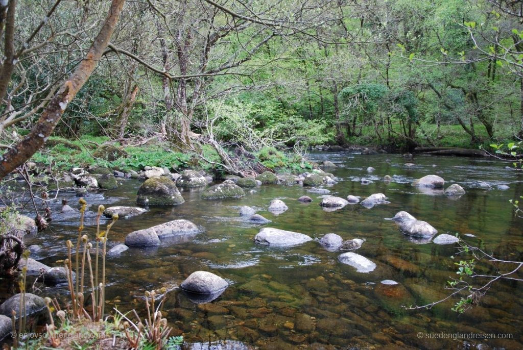 Dartmoor (Devon)