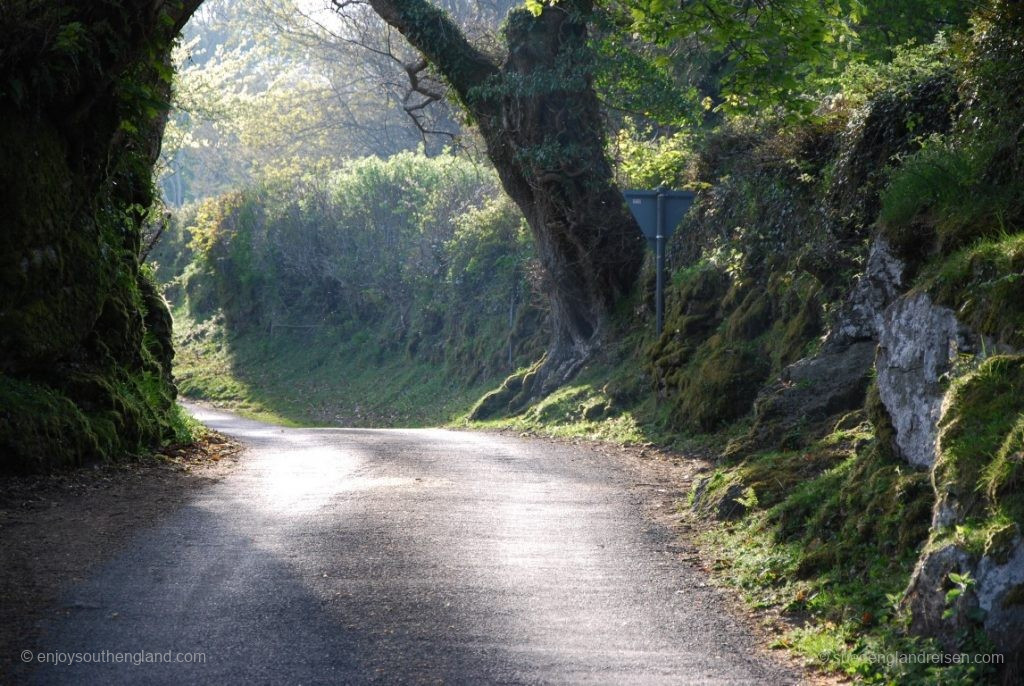 unterwegs im Dartmoor